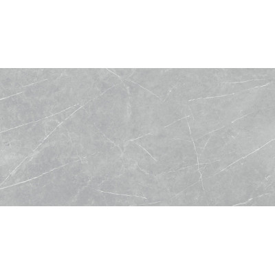 TAU Ceramica Коллекция ALTAMURA Silver Pul 60*120 см