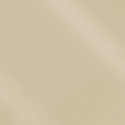 Коллекция MONOCOLOR  Моноколор CF 100 PR Аворио 60x60 см