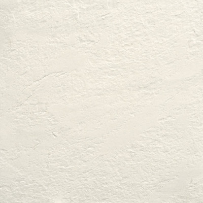 Коллекция MONOCOLOR  Моноколор CF 101 SR Белый 60x60 см