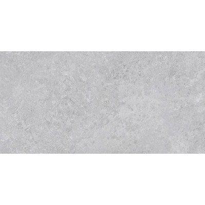 TAU Ceramica Коллекция BORGA Silver Mat (20 мм) 60*120 см