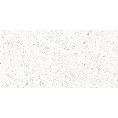 Vitacer Коллекция CORALROCK Pearl Mat 60*120 см