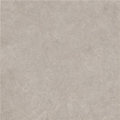 STN Ceramica Коллекция HARDY Natural Mat 100*100 см (CAM7IS)
