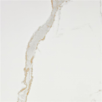 Vitacer Коллекция LEONARDO White Pol 120*120 см
