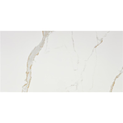 Vitacer Коллекция LEONARDO White Pol 60*120 см