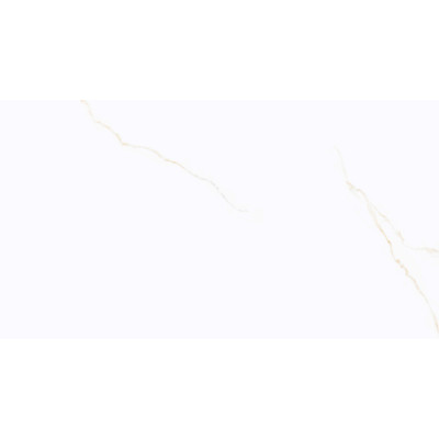 Vitacer Коллекция NARVIK Gold Pol 60*120 см