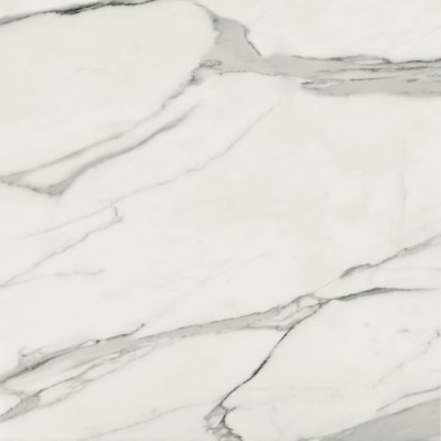 Ape Grupo Коллекция STATUARY VENATO Mat 120*120 см (N31)