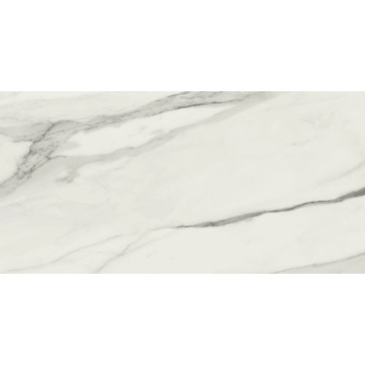 Ape Grupo Коллекция STATUARY VENATO Mat 60*120 см (R60)