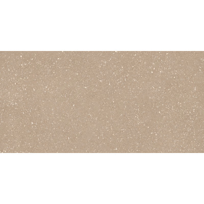 TAU Ceramica Коллекция SASSY Greige Mat 60*120 см