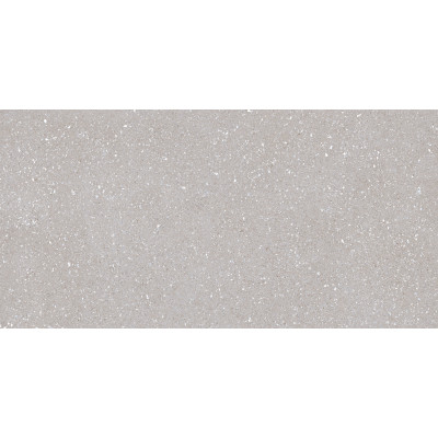 TAU Ceramica Коллекция SASSY Silver Mat 60*120 см