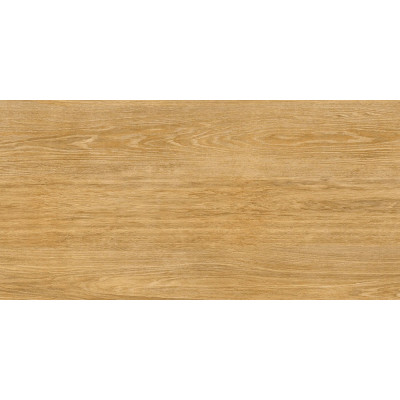 Idalgo WOOD CLASSIC Вуд Классик LMR Медовый 120x59.9 см